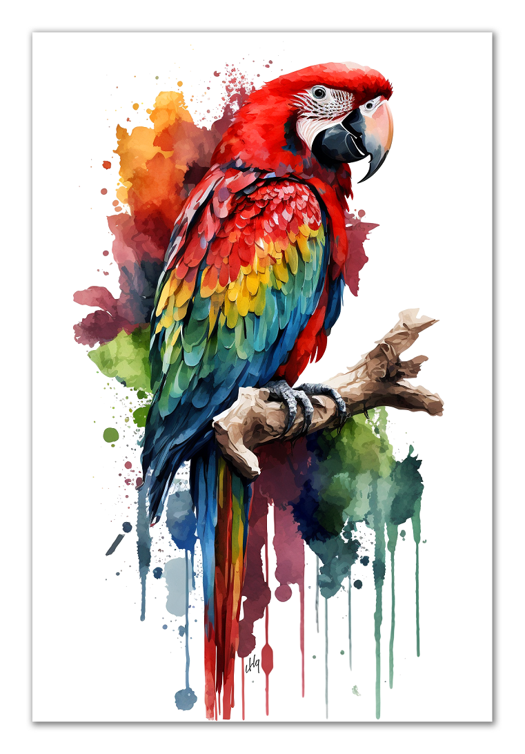 Macaw Wall Art from the Wildlife Collection, a vibrant and detailed depiction on canvas, showcasing the dazzling colors and spirit of this tropical parrot. Perfect for admirers of radiant wall art, nature-inspired gallery spaces, captivating canvas presentations, and a tropical touch to modern home decor.